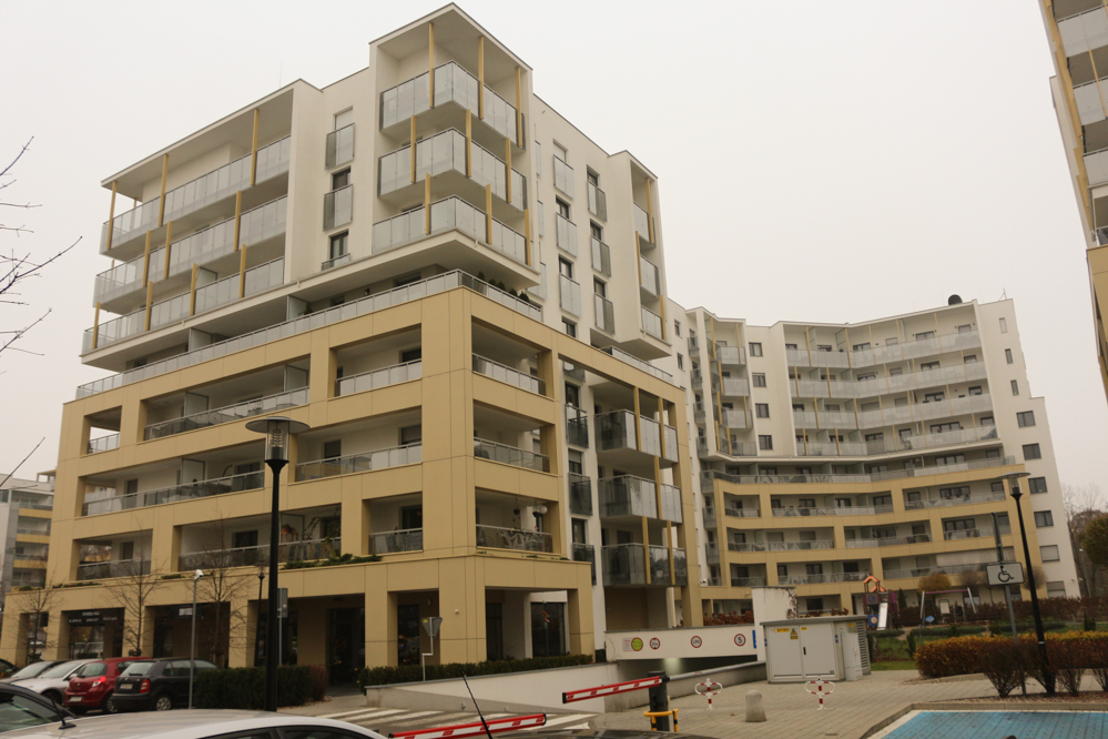 marcelińska pies wypadł z okna  - Leon Bielewicz  - Radio Poznań