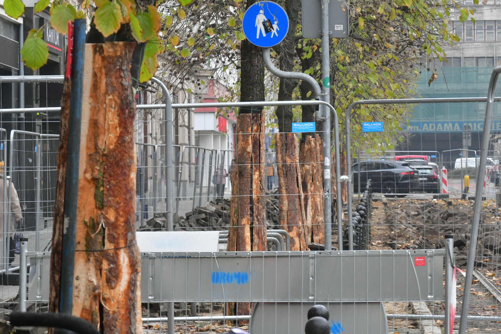  drzewa z ulicy 27 Grudnia - Wojtek Wardejn - Radio Poznań