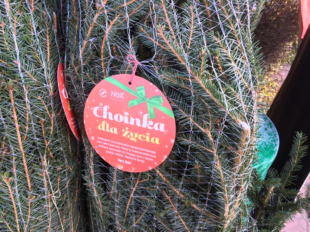 choinka dla życia choinka za krew - Jacek Marciniak - Radio Poznań
