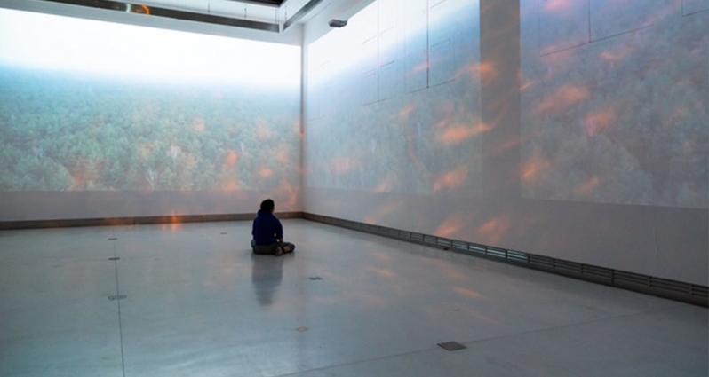 festiwal polski teatr  tańca - Organizator