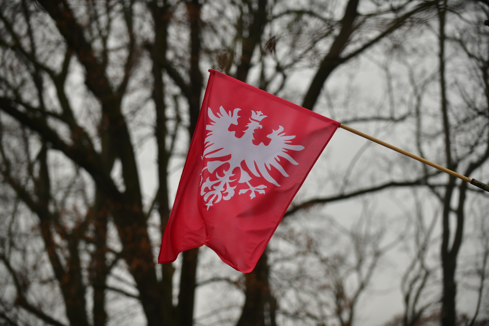 flaga powstańcza powstanie wielkopolskie - Wojtek Wardejn - Radio Poznań