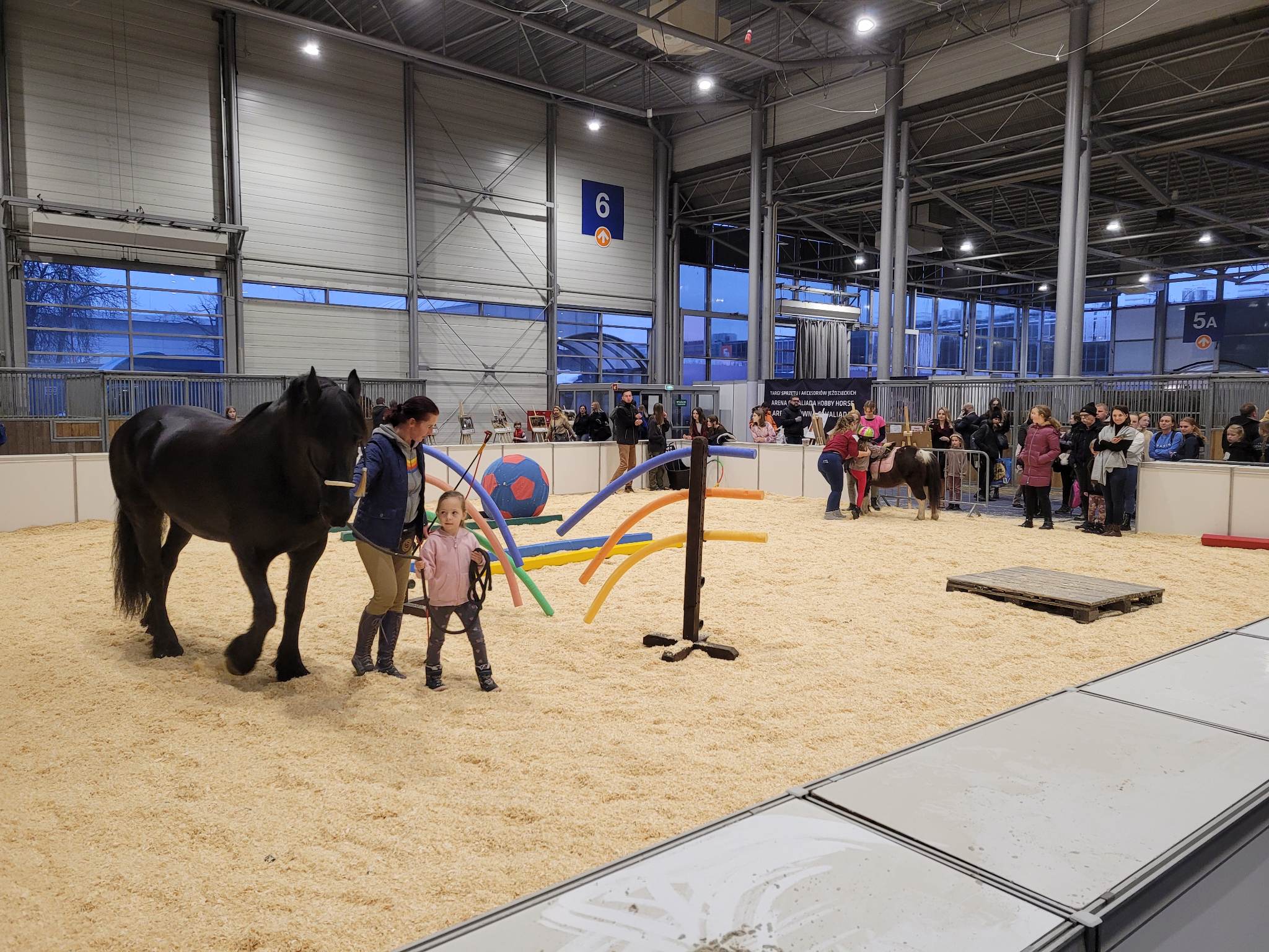 Cavaliada poznań targi zajęcia - Krzysztof Polasik - Radio Poznań