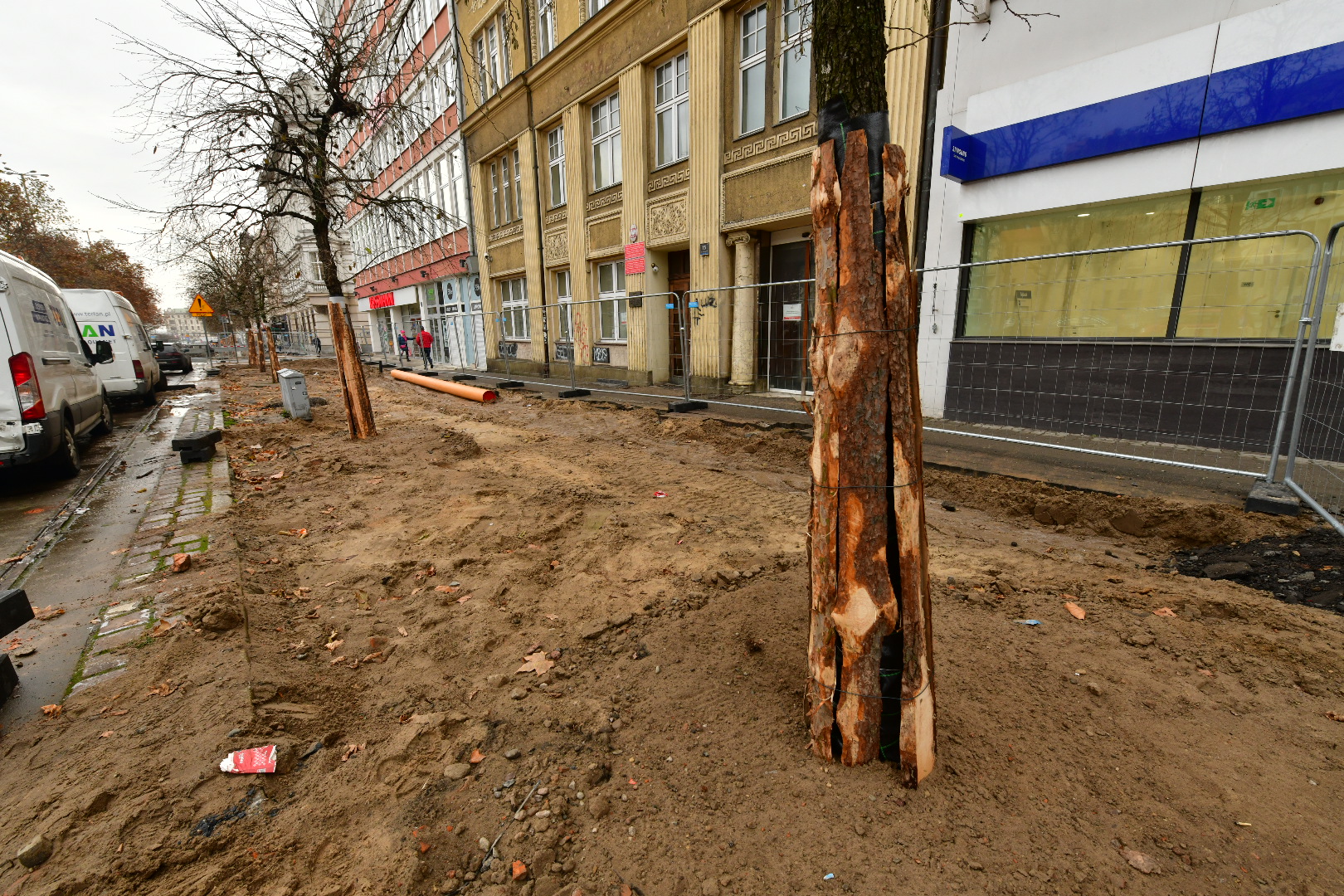 drzewa przy ulicy 27 Grudnia w Poznaniu - Wojtek Wardejn - Radio Poznań