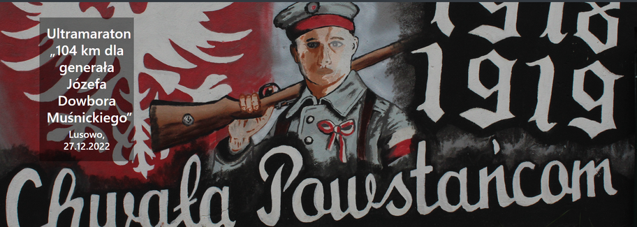 rsz_1104_km_w_lusowie - OSIR Tarnowo Podgórne