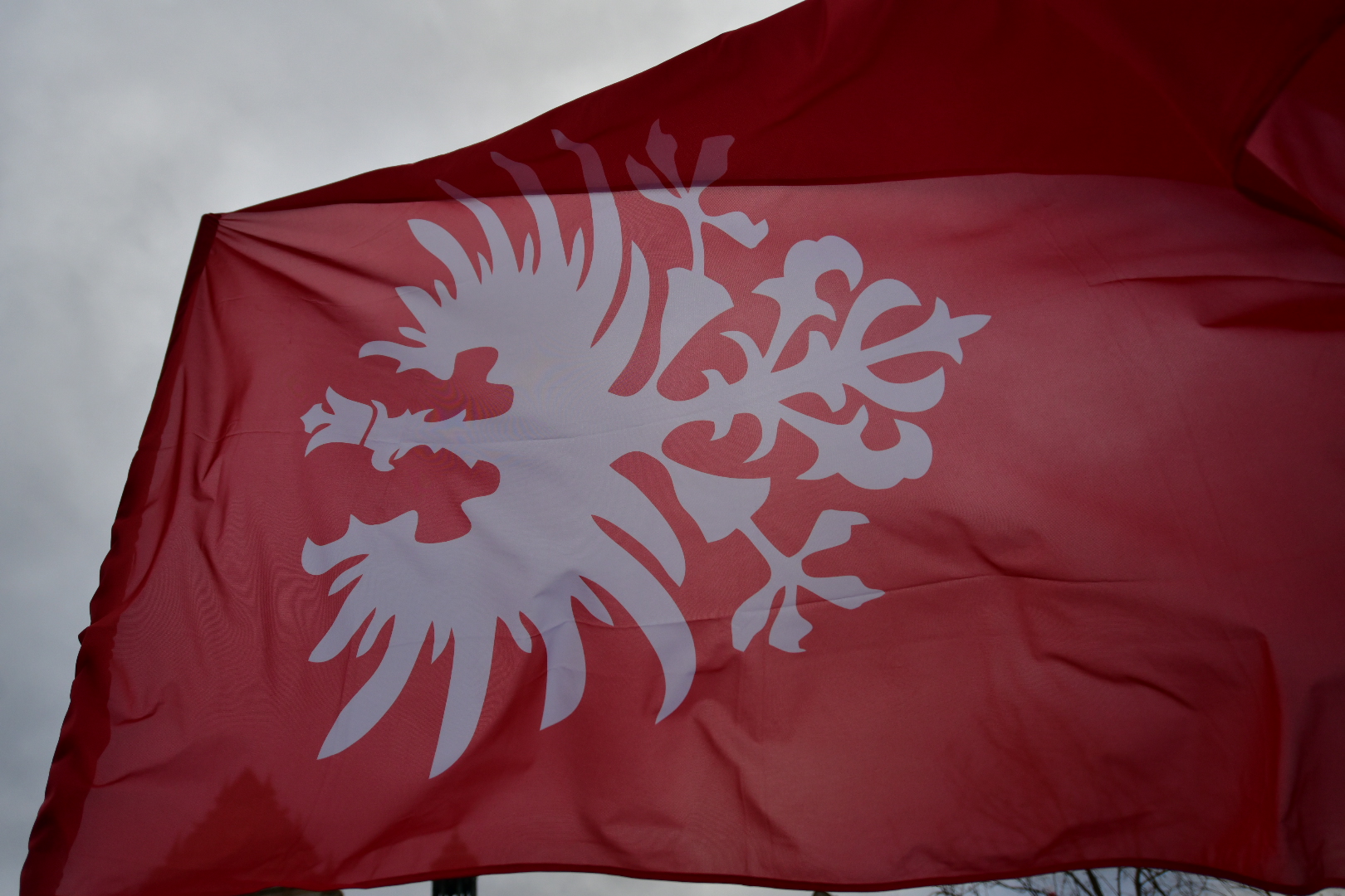 marsz powstanie wielkopolskie flaga powstańcza - Wojtek Wardejn - Radio Poznań