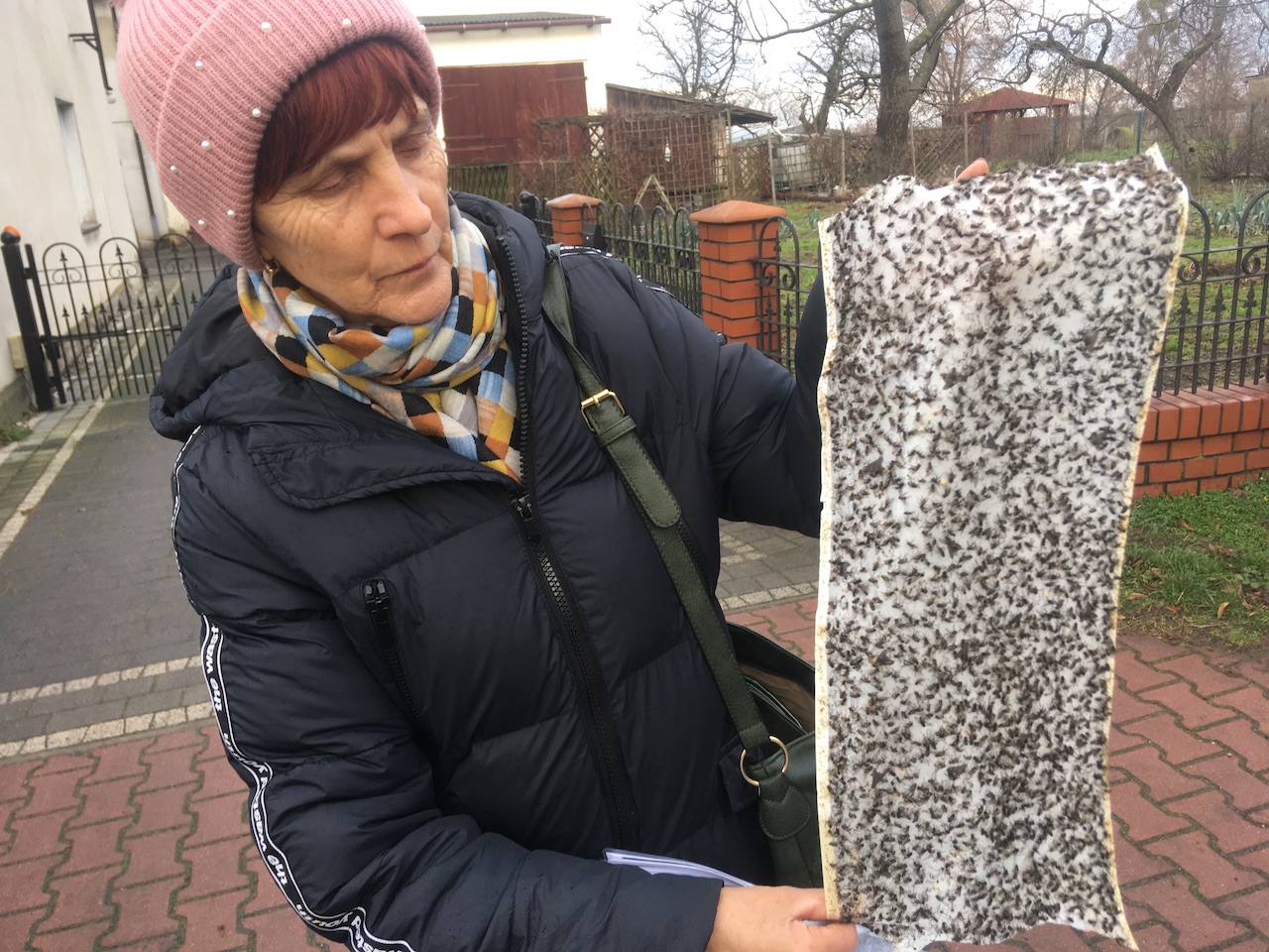 dolsk inwestycja hodowla mszczyczyn - Rafał Regulski - Radio Poznań