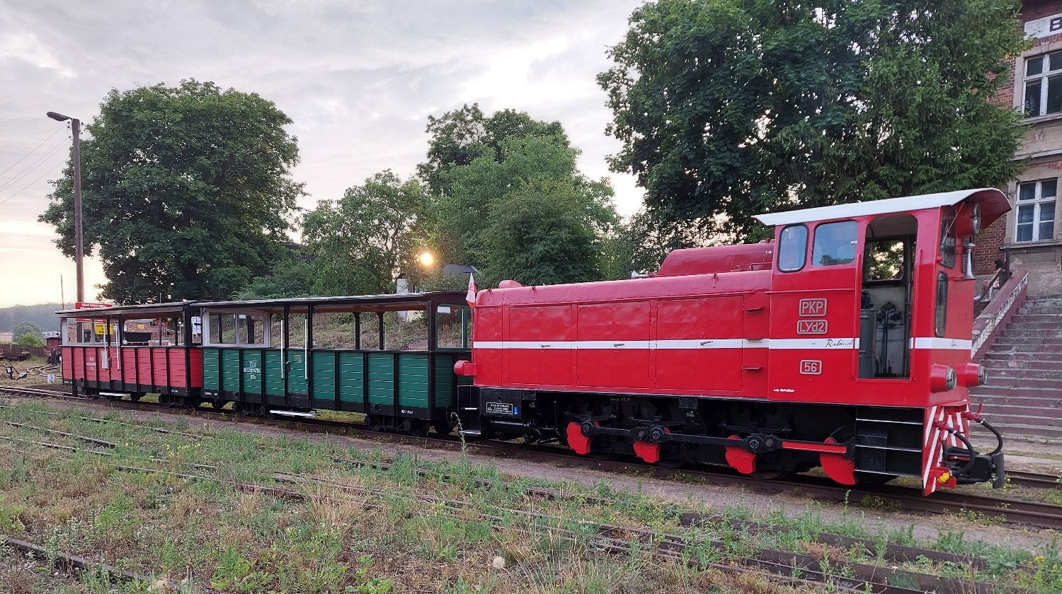 rubinek białośliwie - zrzutka.pl