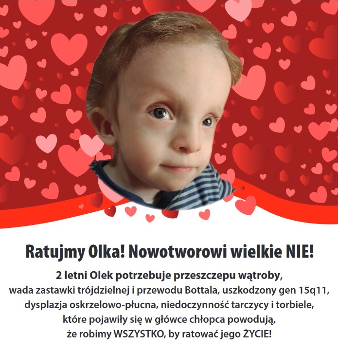 Charytatywny halowy turniej piłki nożnej - Organizator