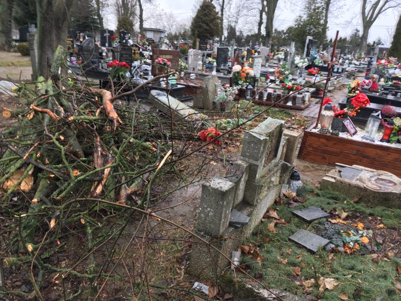 cmentarz św piotra gniezno - Rafał Muniak - Radio Poznań