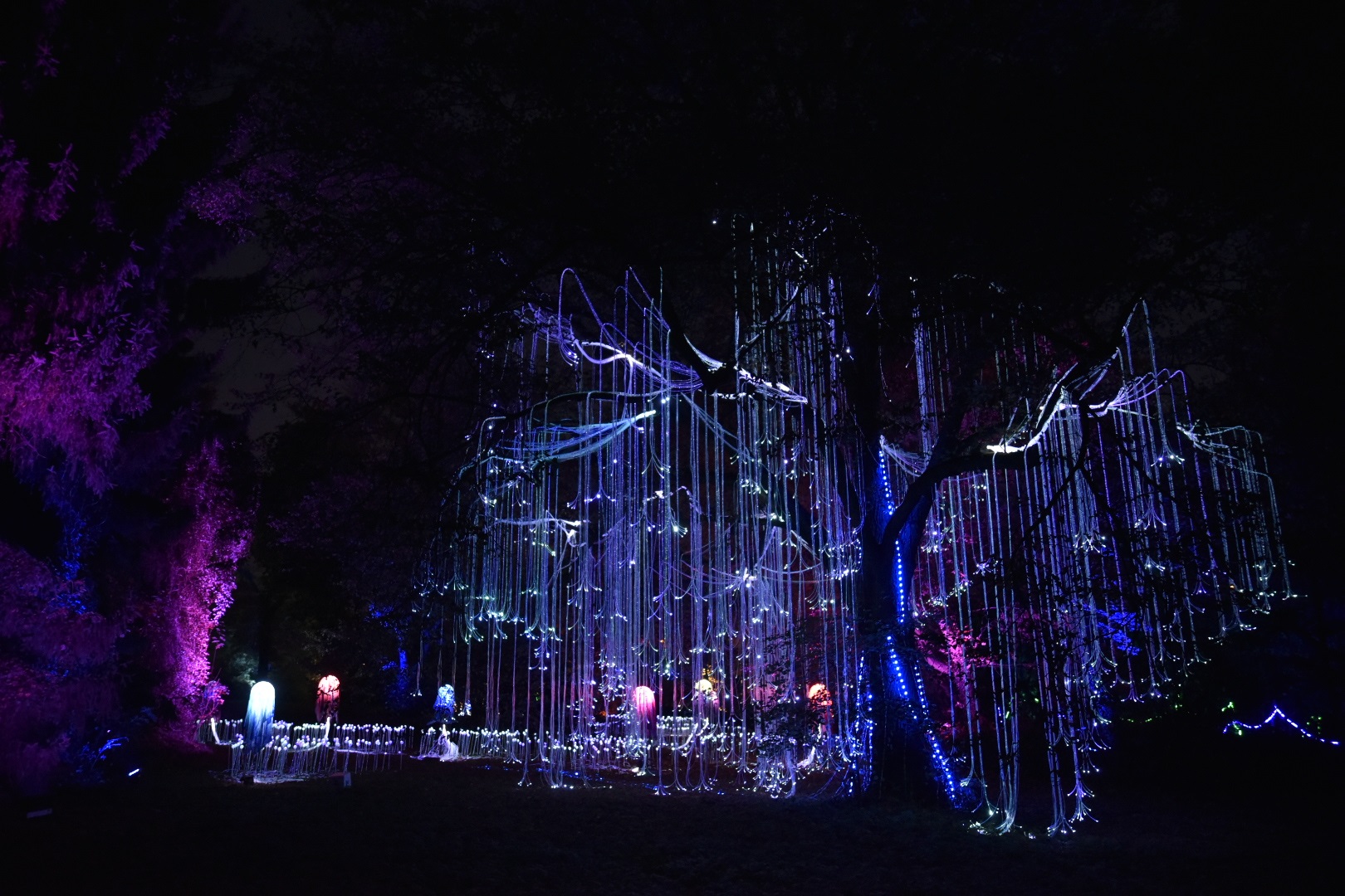 Lumina Park park iluminacji poznań - Wojtek Wardejn - Radio Poznań