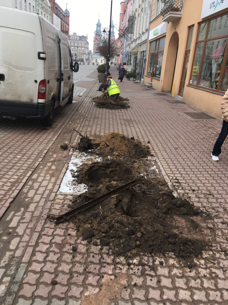 gniezno starówka sadzenie drzew - Rafał Muniak - Radio Poznań