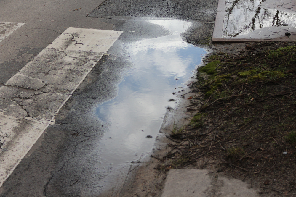 Zakopiańska po deszczu - Leon Bielewicz  - Radio Poznań