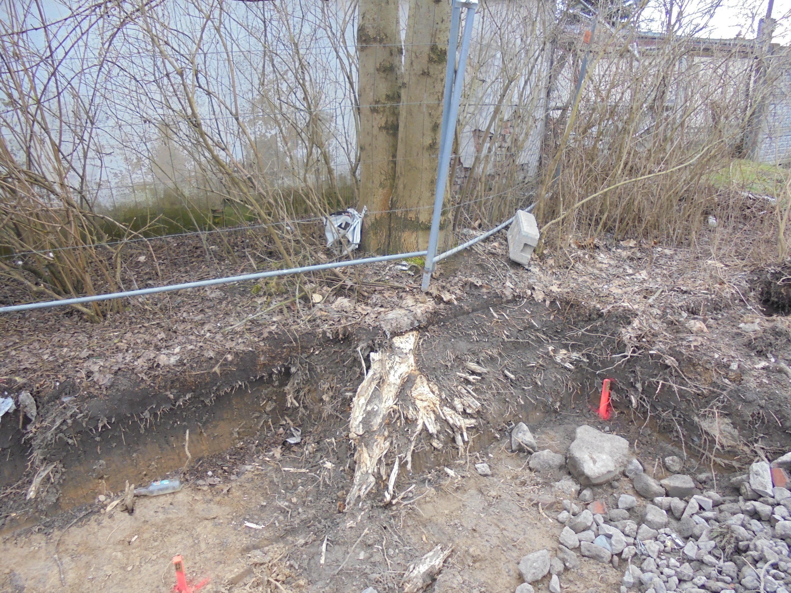 Krzysztof Rosenkiewicz