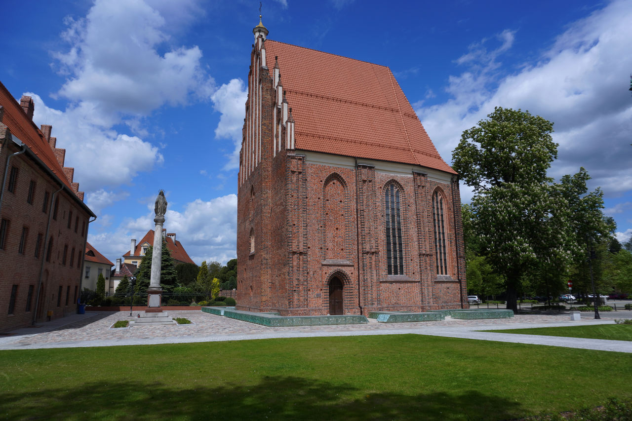 kościół nmp - Organizator