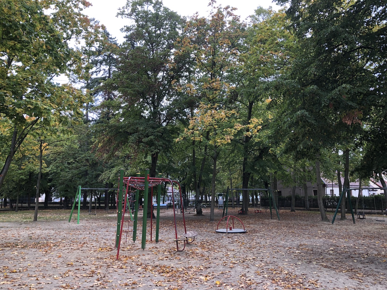 ogródek jordanowski międzychód - Kacper Witt - Radio Poznań