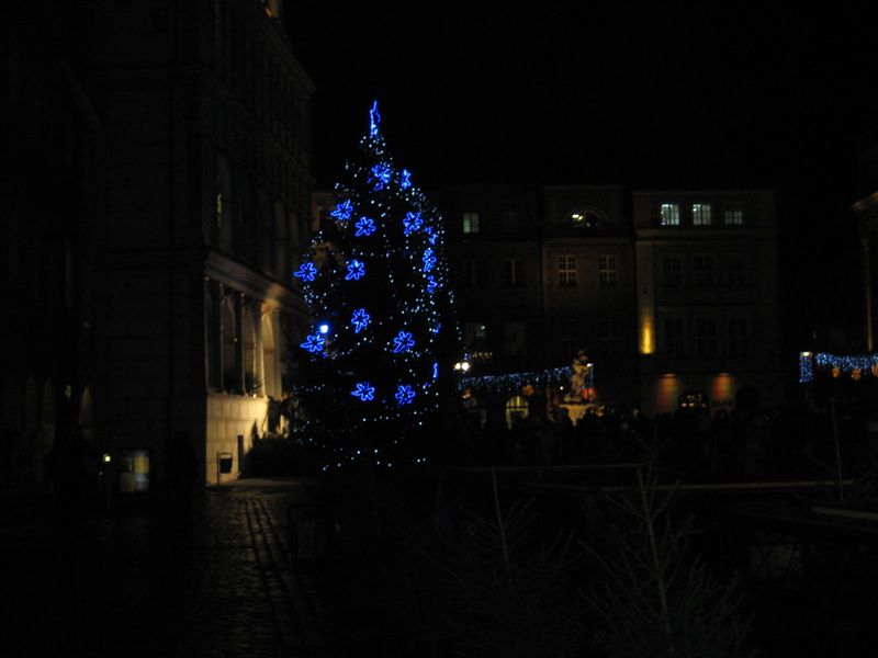 choinka 2011 - Adam Michalkiewicz