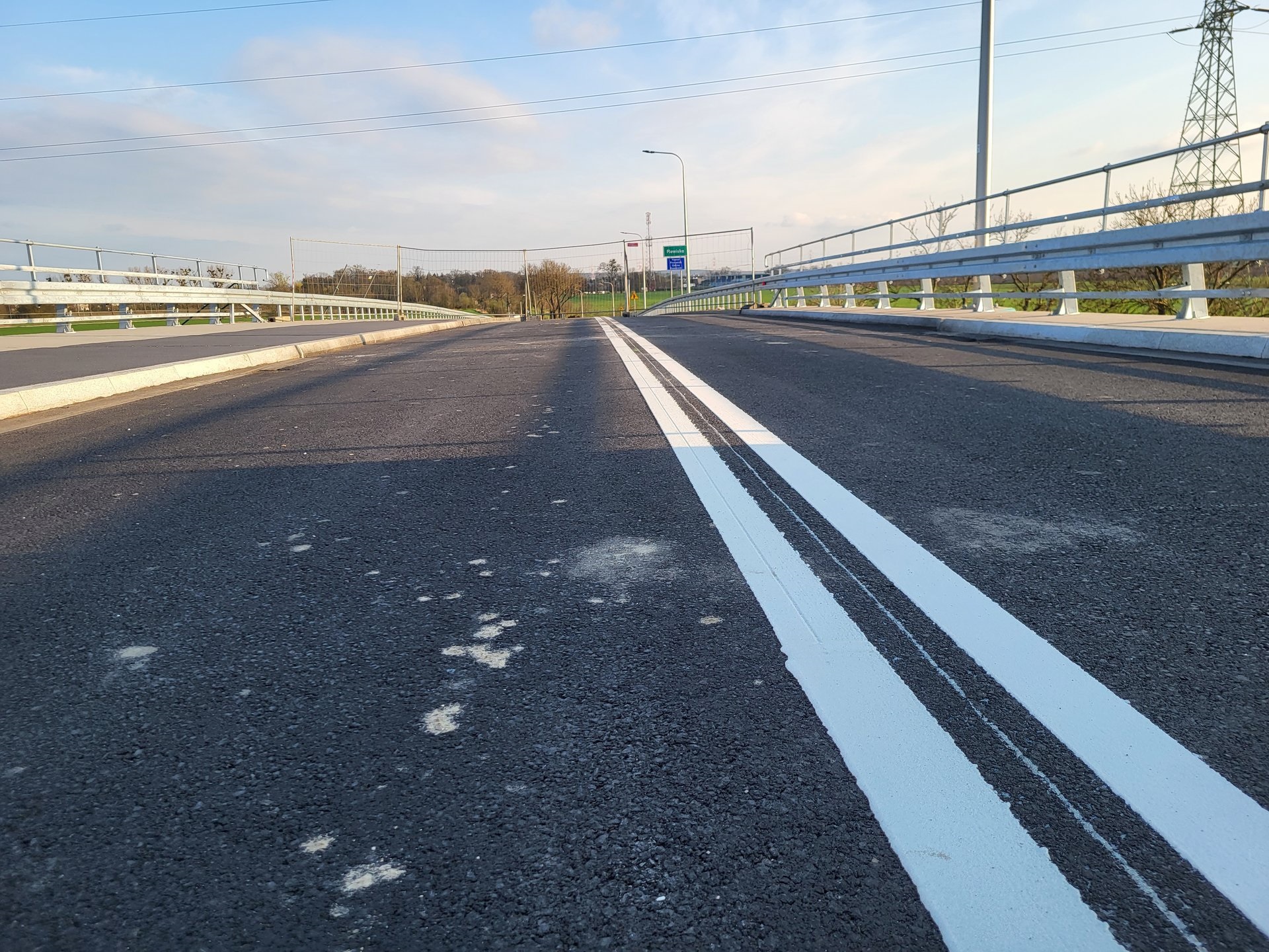 wiadukt plewiska - PKP PLK SA