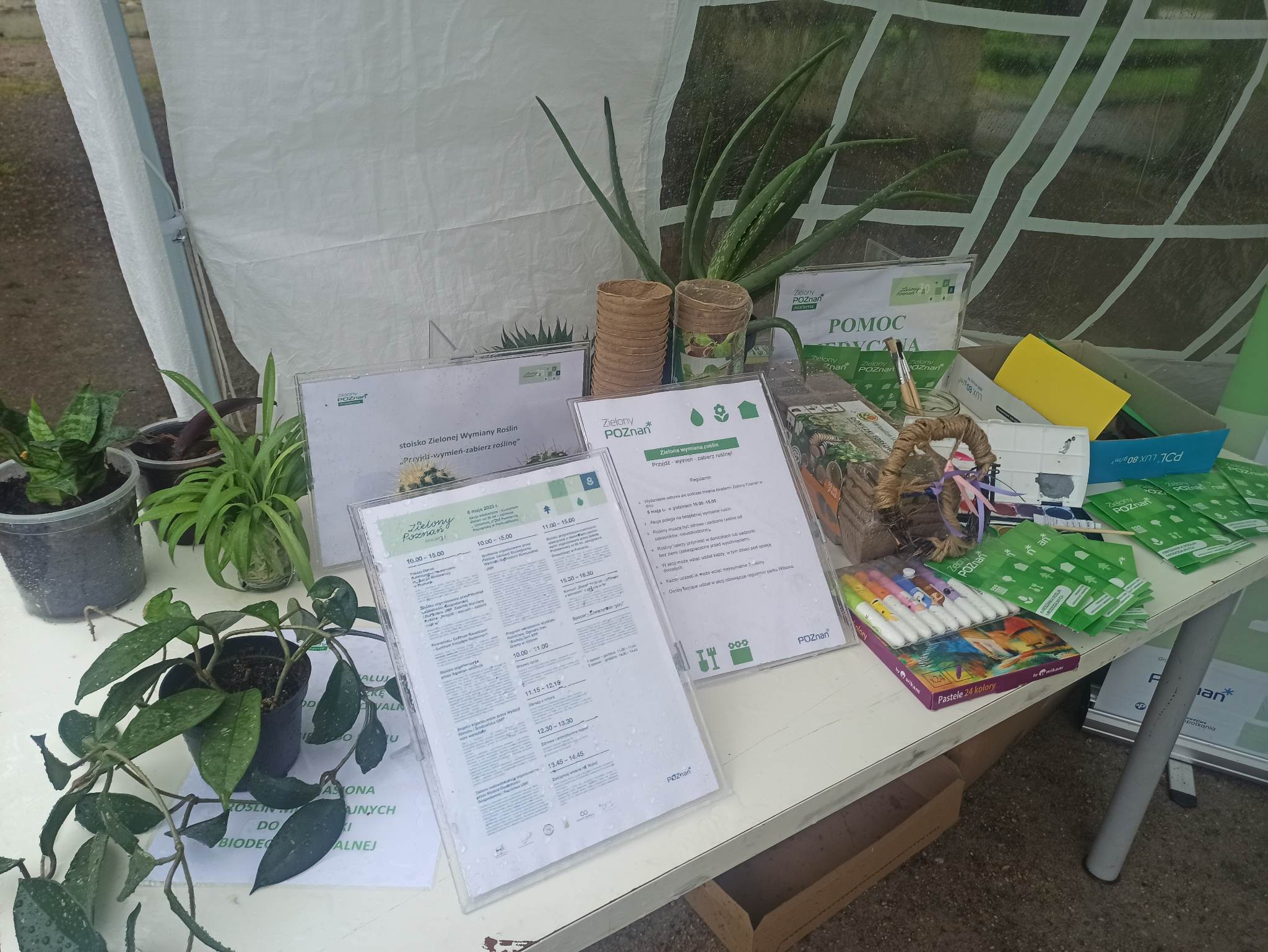 "Zielona sobota" w parku Wilsona - Bartosz Garczyński - Radio Poznań