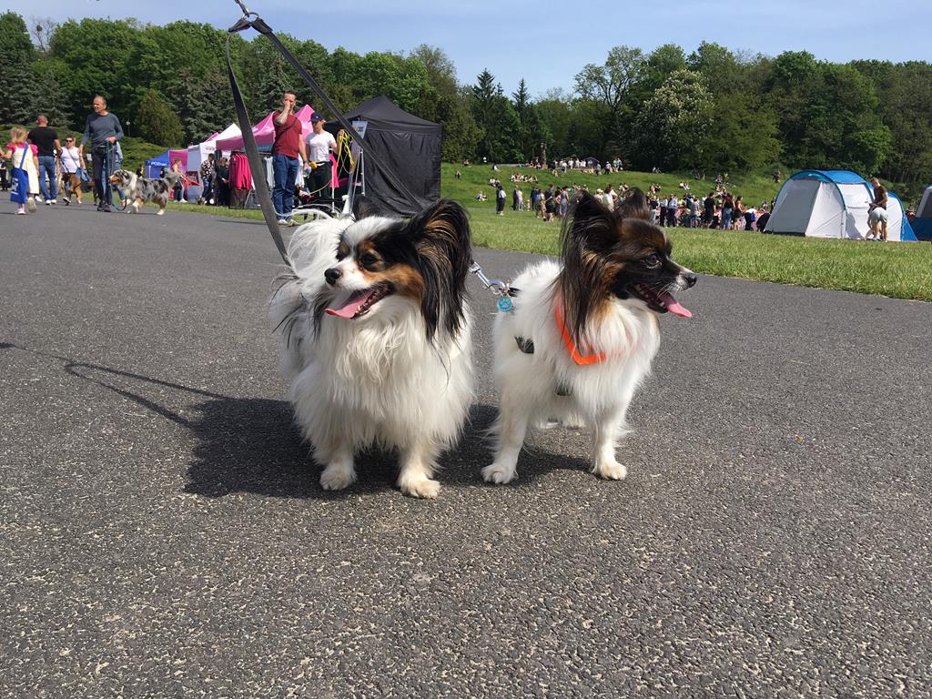 kejtrówka cytadela - Jacek Butlewski - Radio Poznań