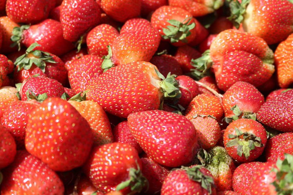 truskawka truskawki  - Leon Bielewicz  - Radio Poznań