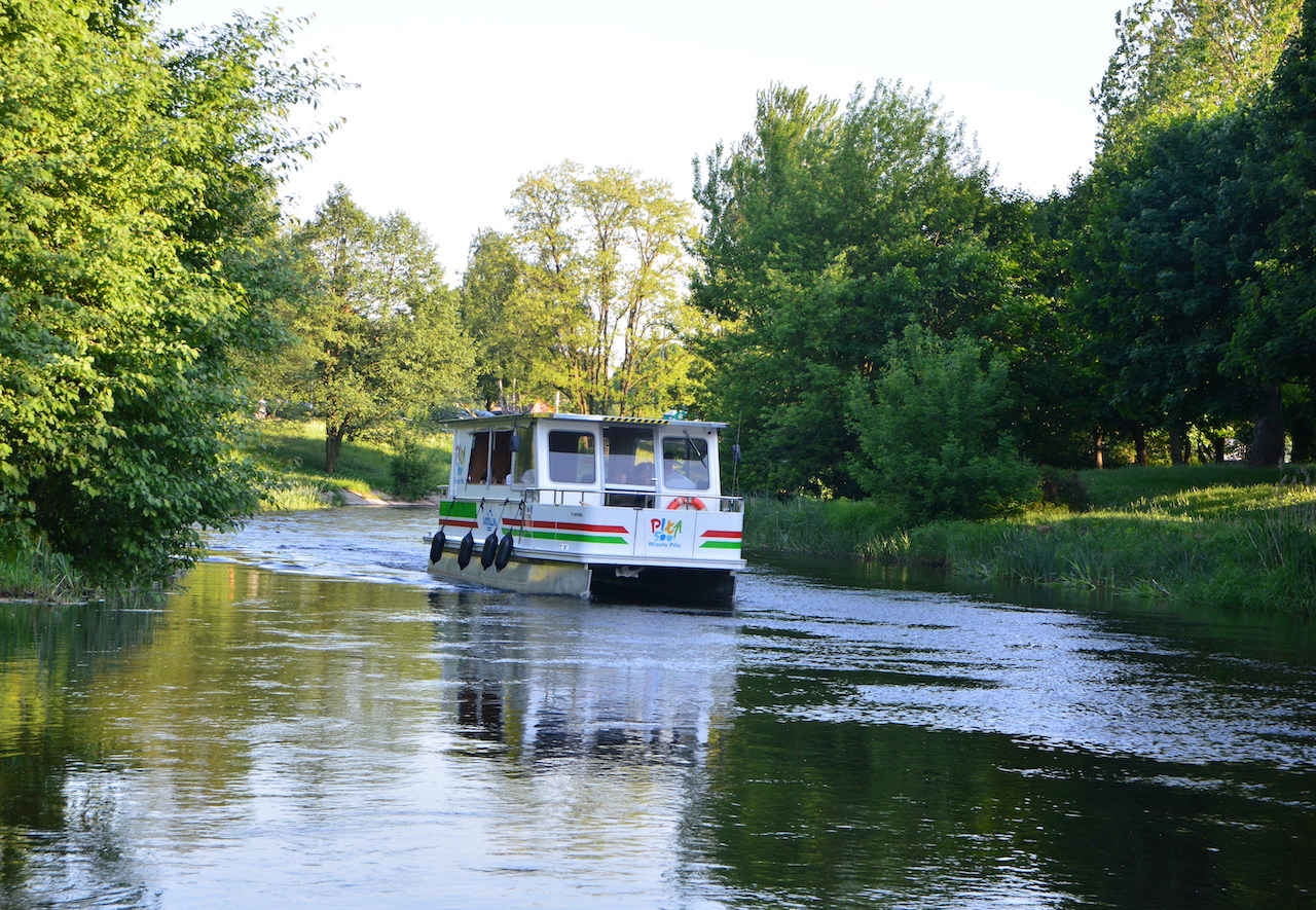 gordalina piła gwda - pila.pl