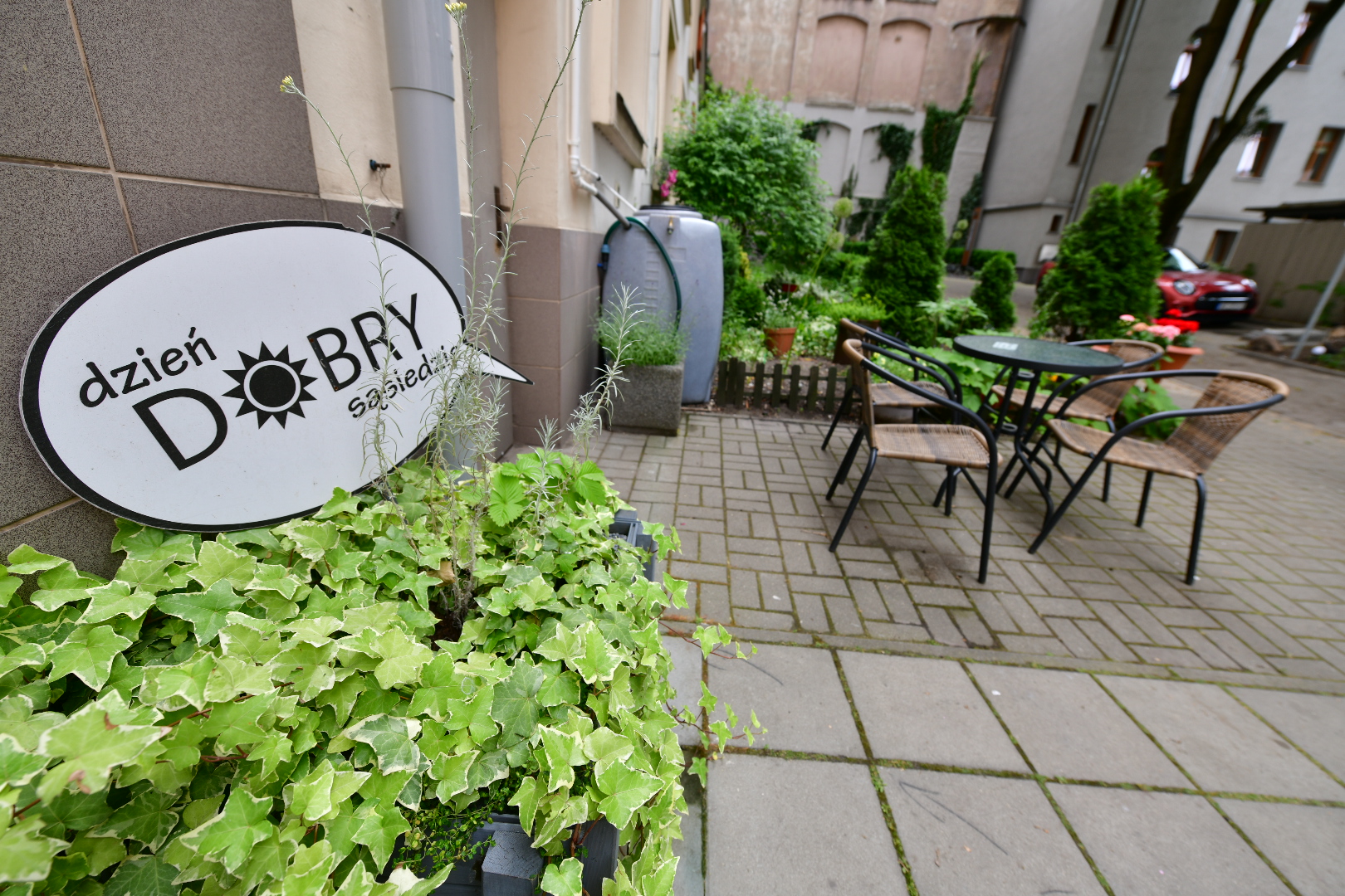 przyjazne podwórko - Wojtek Wardejn