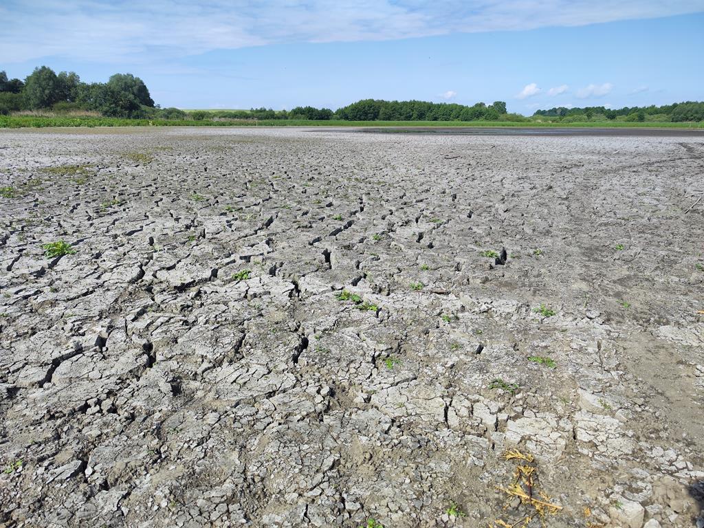 jezioro skrzatusz wyschło zniknęło jezioro - Przemysław Stochaj - Radio Poznań