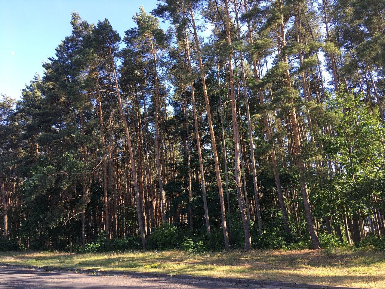 las społeczny w lesznie - Jacek Marciniak - Radio Poznań