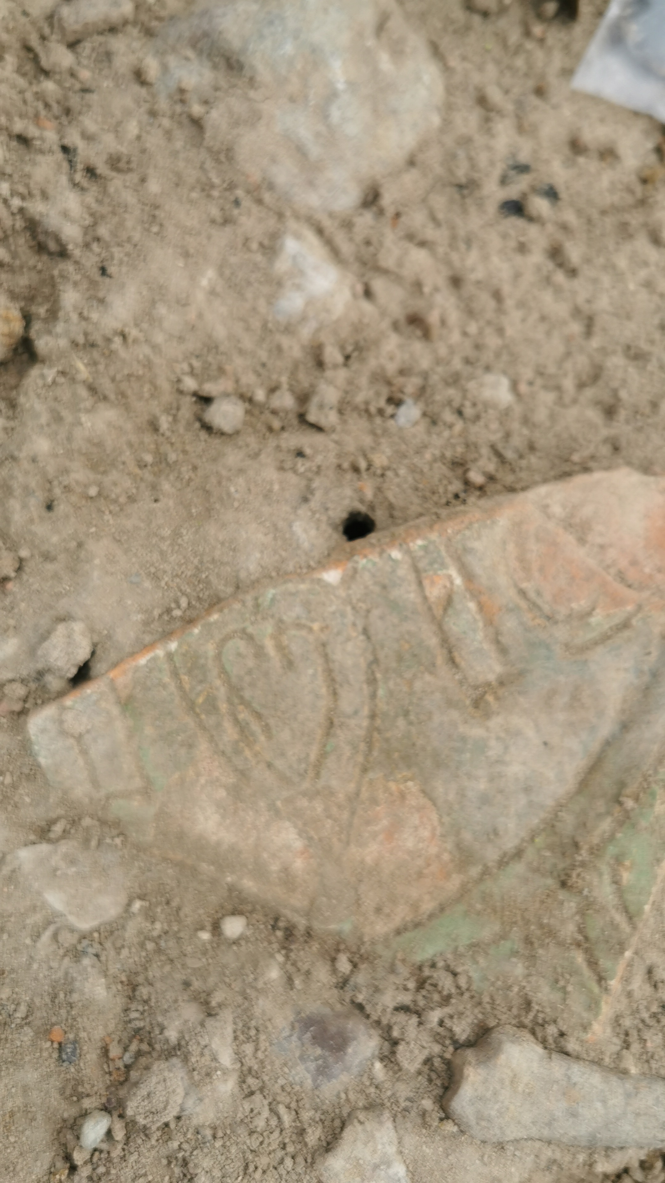 Pracownia Archeologiczno - Konserwatorska Mikołaj Nowakowski