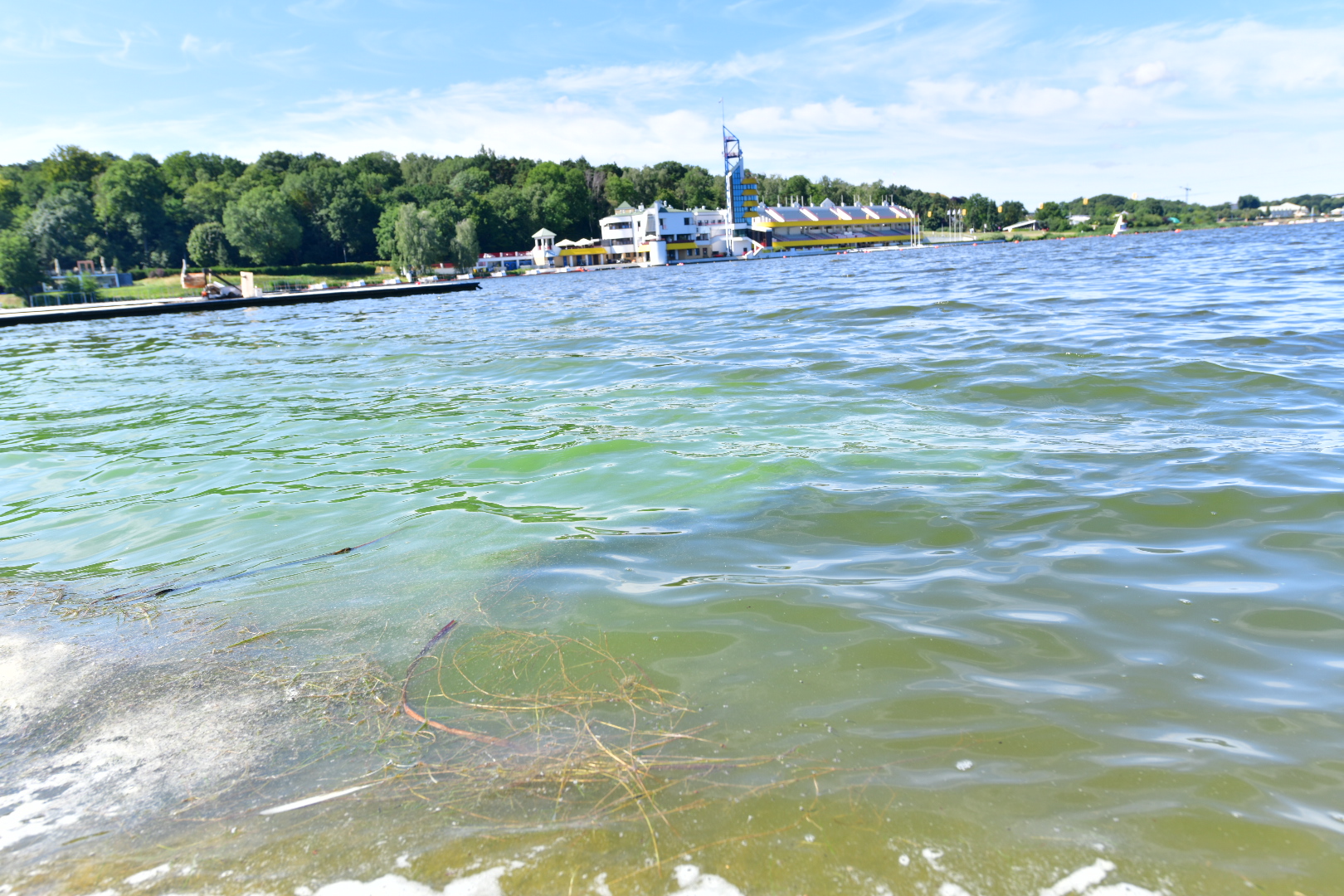 sinice malta - Wojtek Wardejn - Radio Poznań