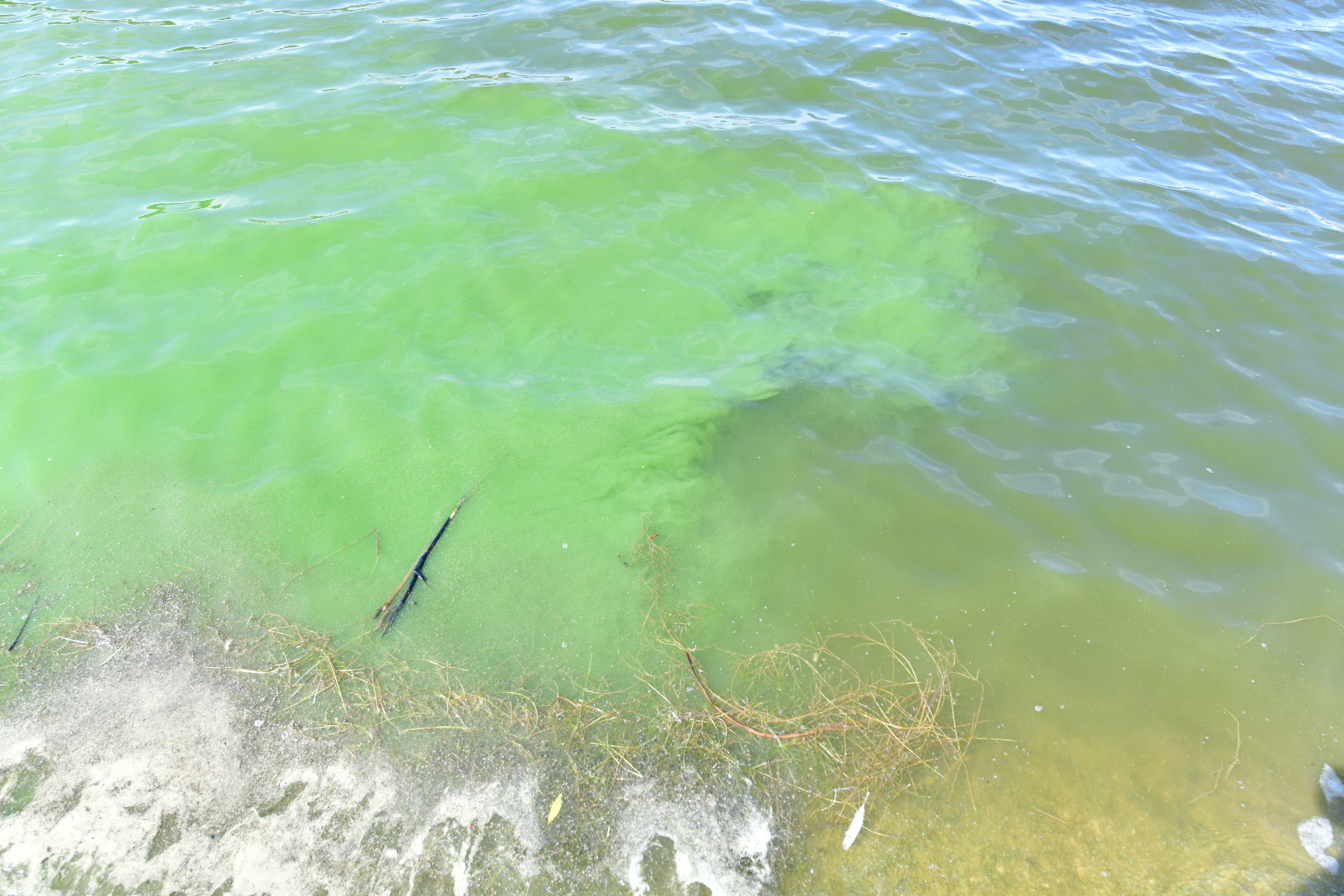 sinice malta - Wojtek Wardejn - Radio Poznań