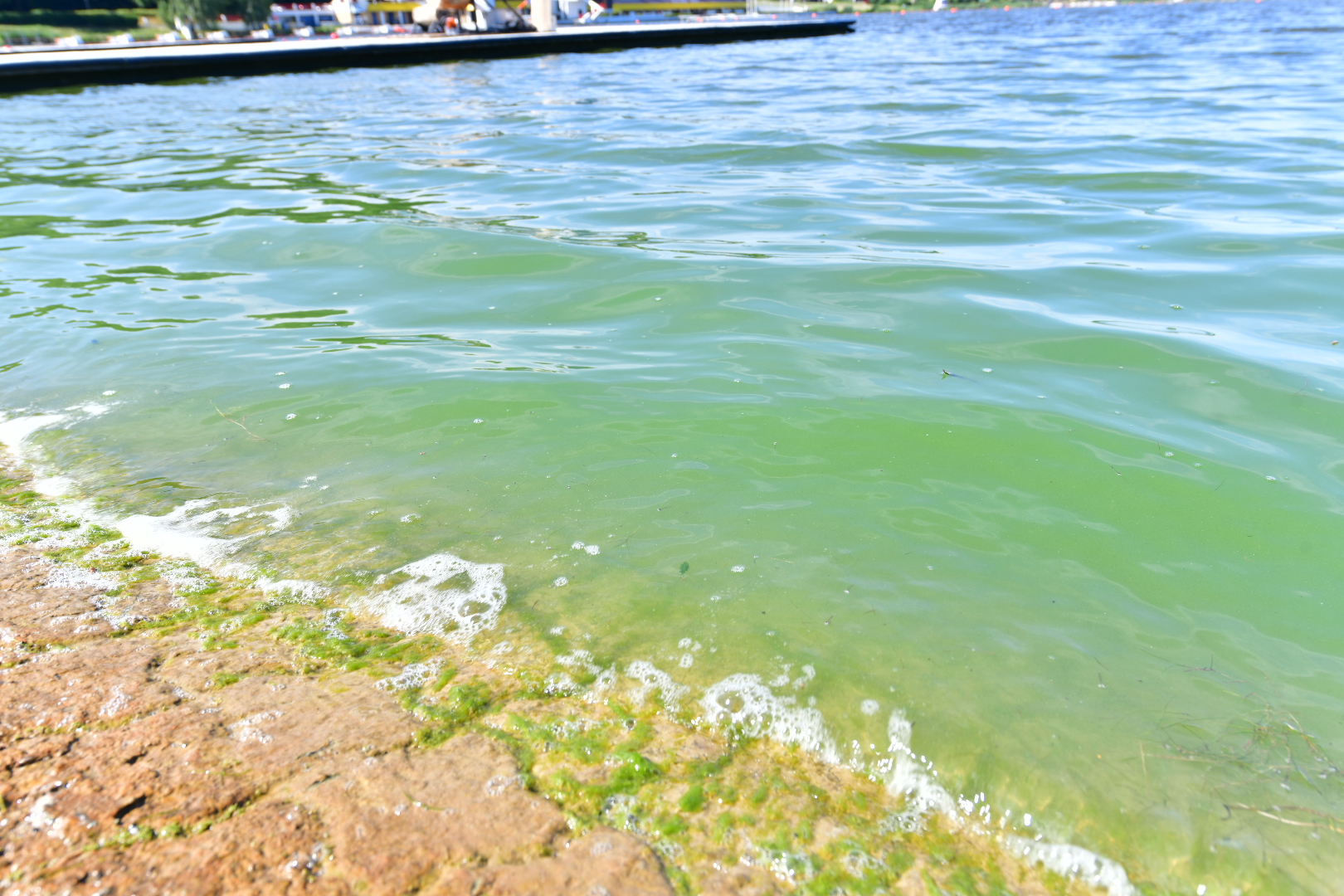 sinice malta - Wojtek Wardejn - Radio Poznań