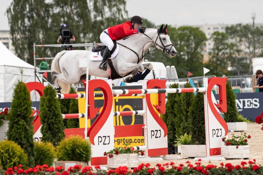 maksiu - Wechta Equestrian