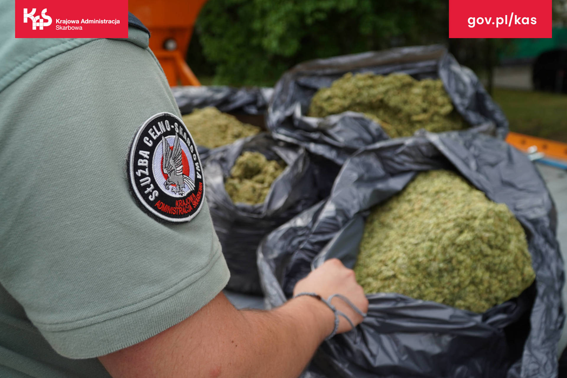 narkotyki marihuana kas - Izba Administracji Skarbowej w Poznaniu