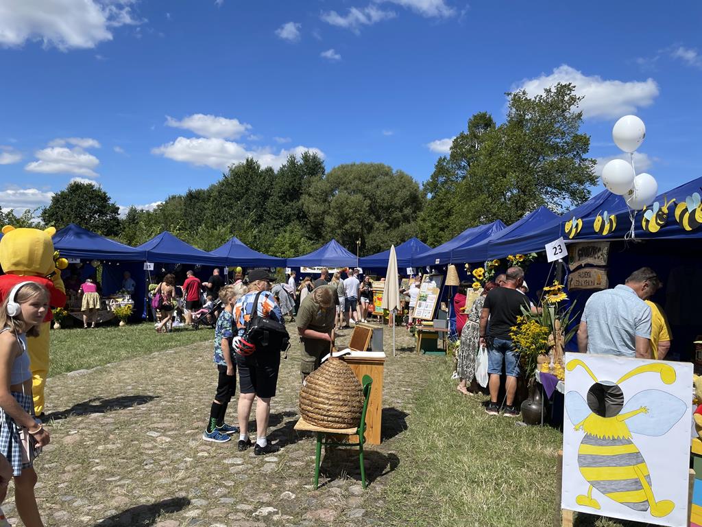 11 (Copy) - Materiał sponsorowany