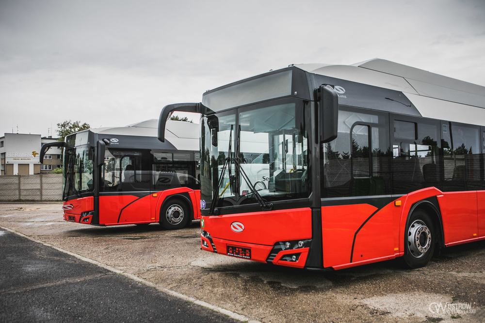 autobusy ostrów autobusy elektryczne ostrów - UM Ostrów