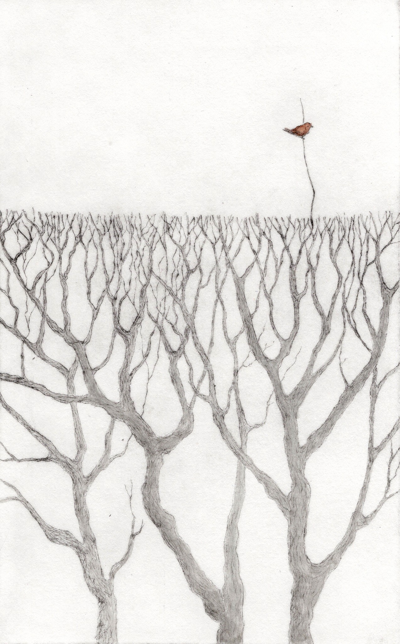 MAŁGORZATA WAŚNIEWSKA-FRĄCKOWIAK - FB: Galeria Sztuki w Mosinie