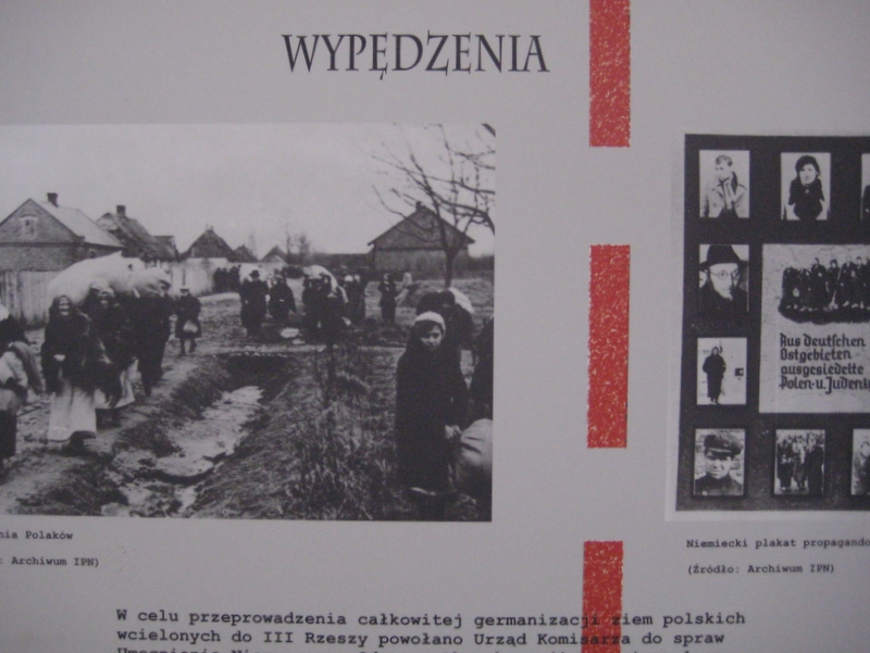 Pomnik wypędzonych - rozpoczęcie konkursu - Jacek Butlewski
