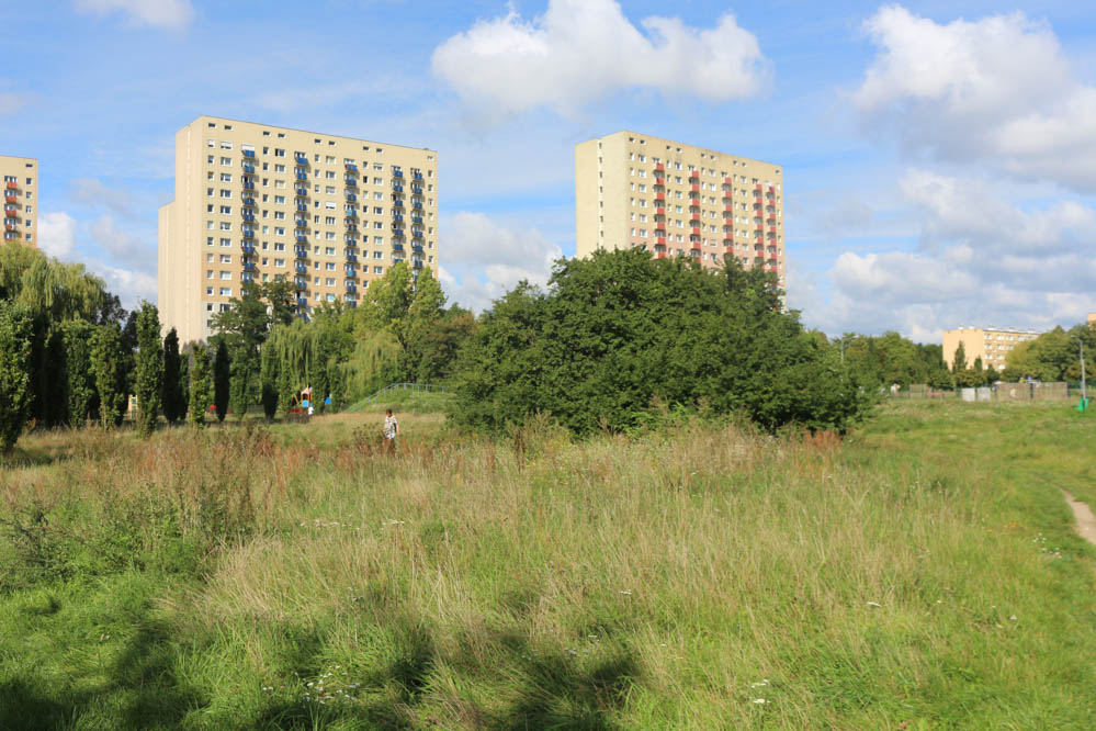 osiedle zwycięstwo deweloper kara dla miasta  - Leon Bielewicz  - Radio Poznań