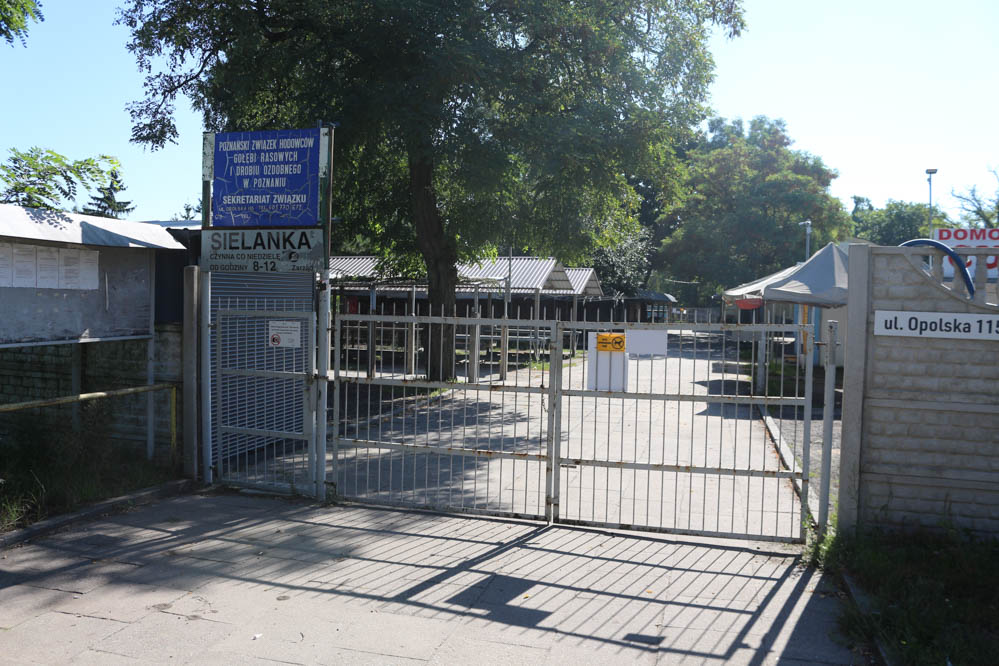 targ sielanka - Leon Bielewicz  - Radio Poznań