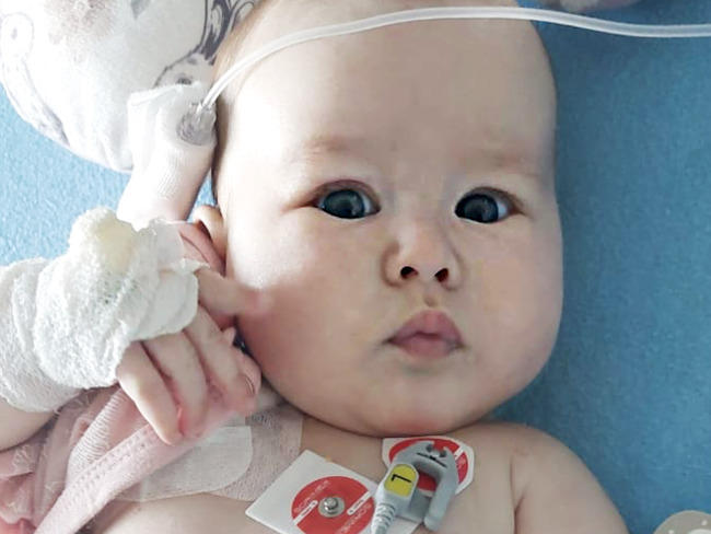 gaja janik zbiórka - siepomaga.pl