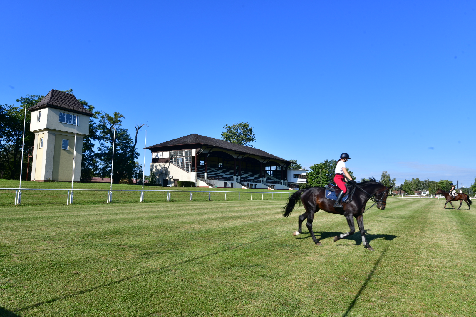Hipodrom Wola - Wojtek Wardejn - Radio Poznań