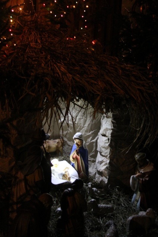 Grzegorz Maciejewski