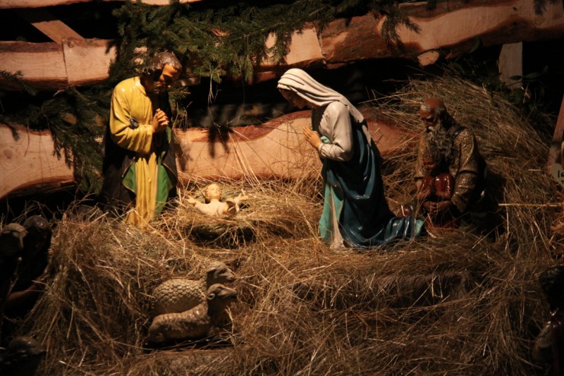 Grzegorz Maciejewski