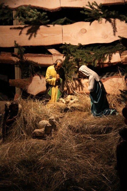 Grzegorz Maciejewski