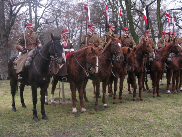 Powstanie Wielkopolskie - rocznica obchodów 2011 - Adam Michalkiewicz