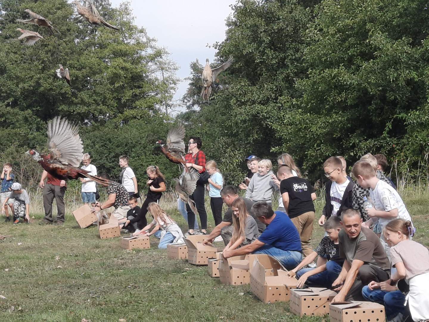 bażanty i kuropatwy na wolności gniezno - Rafał Muniak - Radio Poznań