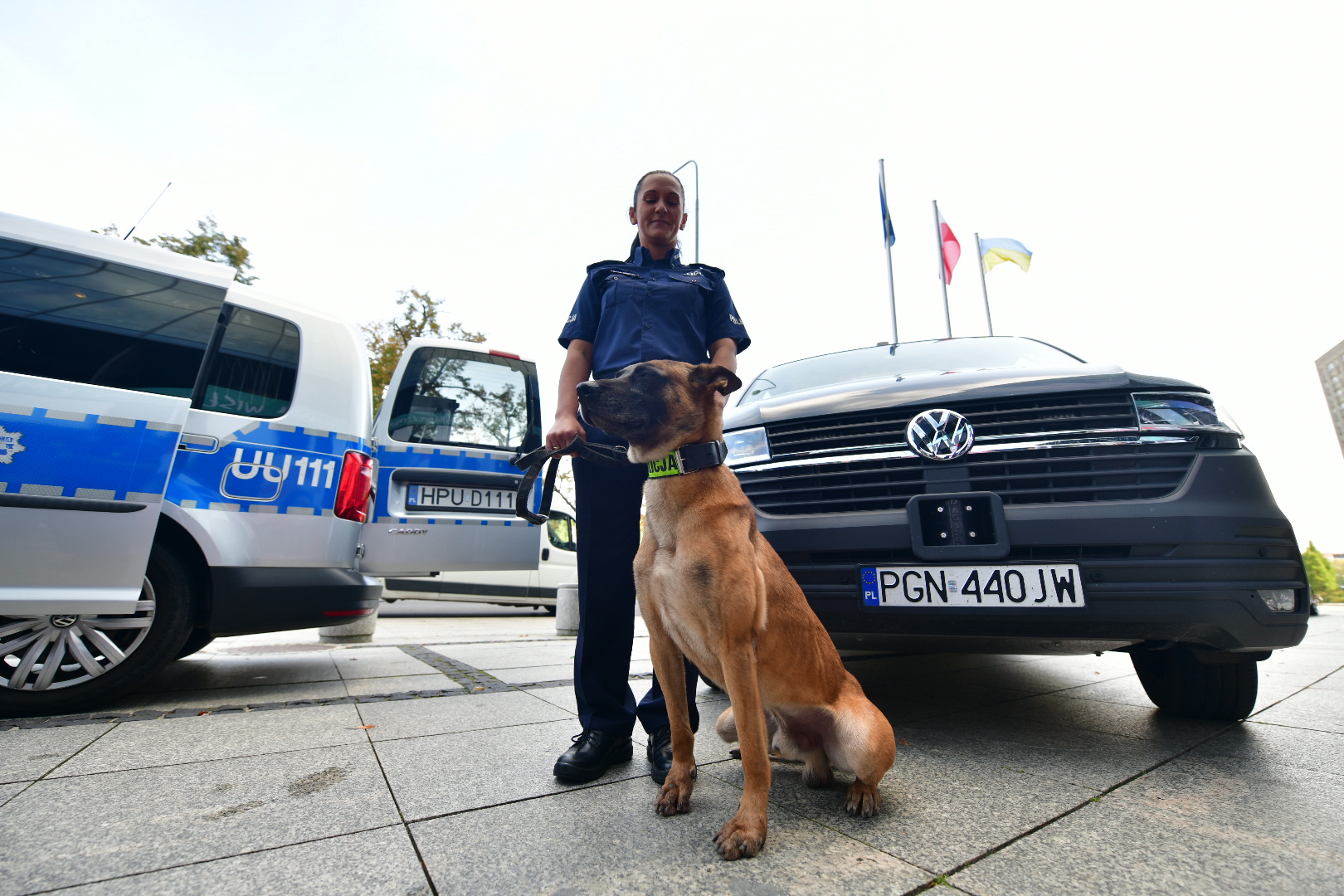 eliminacje Kynologicznych Mistrzostw Polski psi policjant pies policyjny - Wojtek Wardejn - Radio Poznań