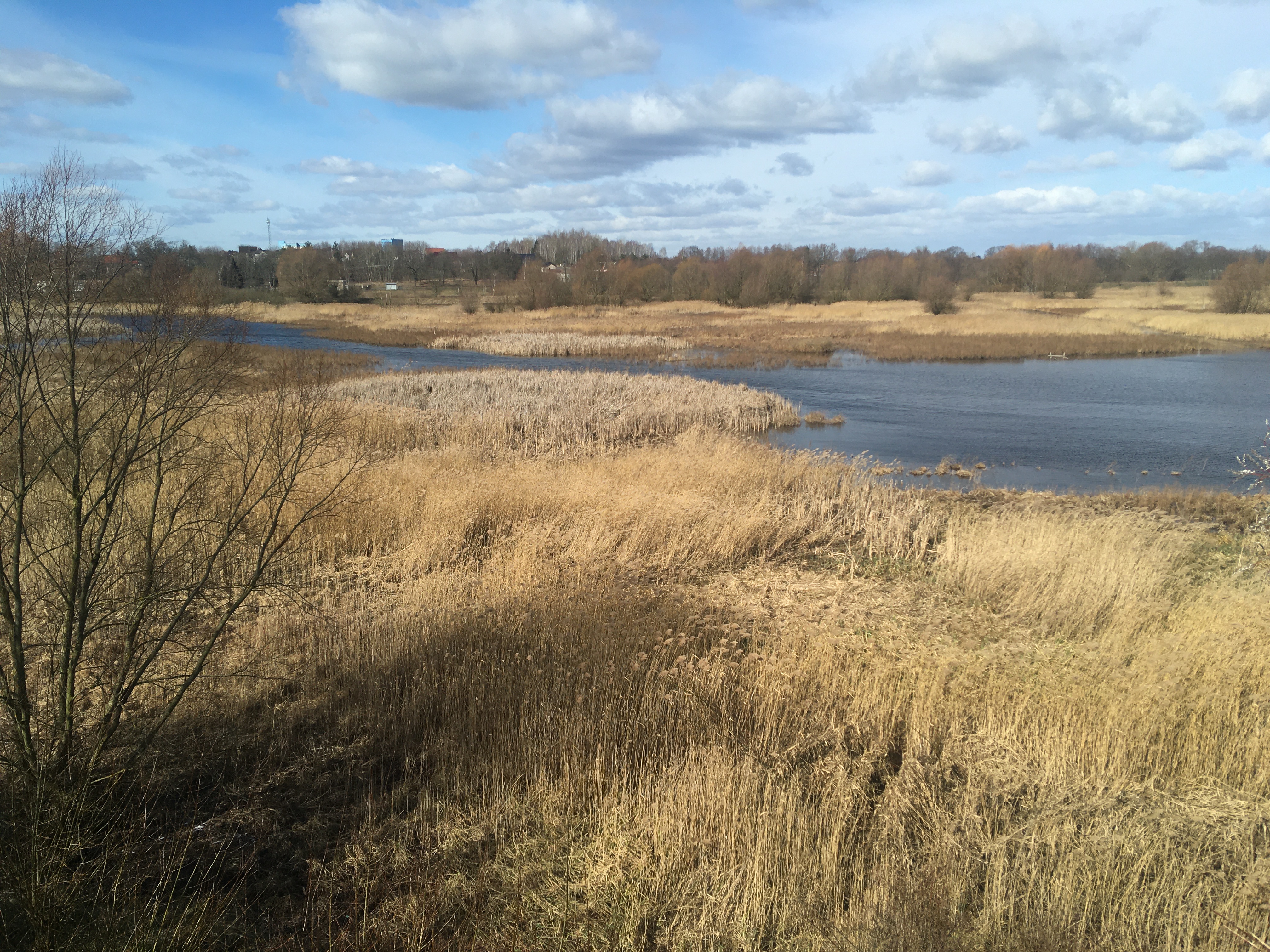 stawy kiszkowskie - Jacek Butlewski - Radio Poznań