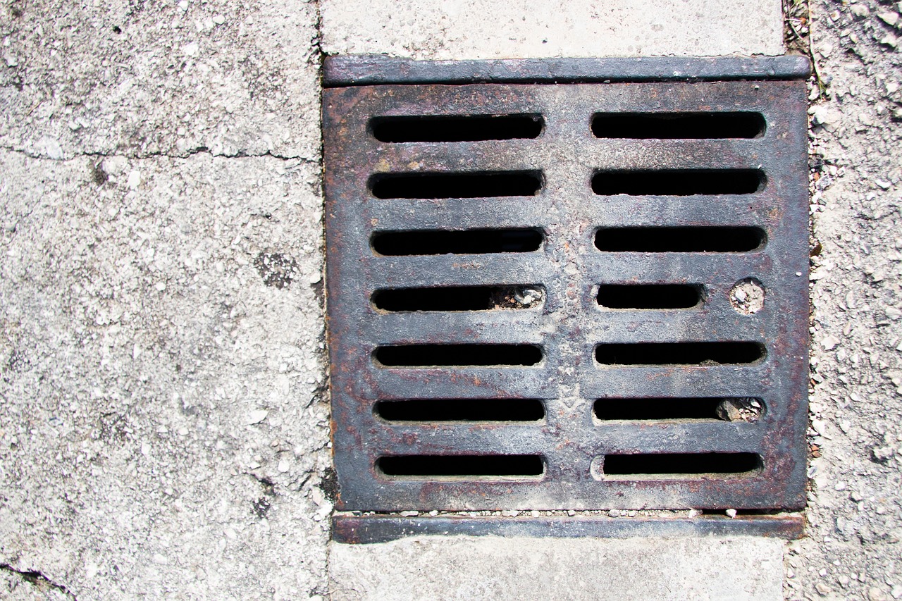 zdjęcie ilustracyjne - Pixabay